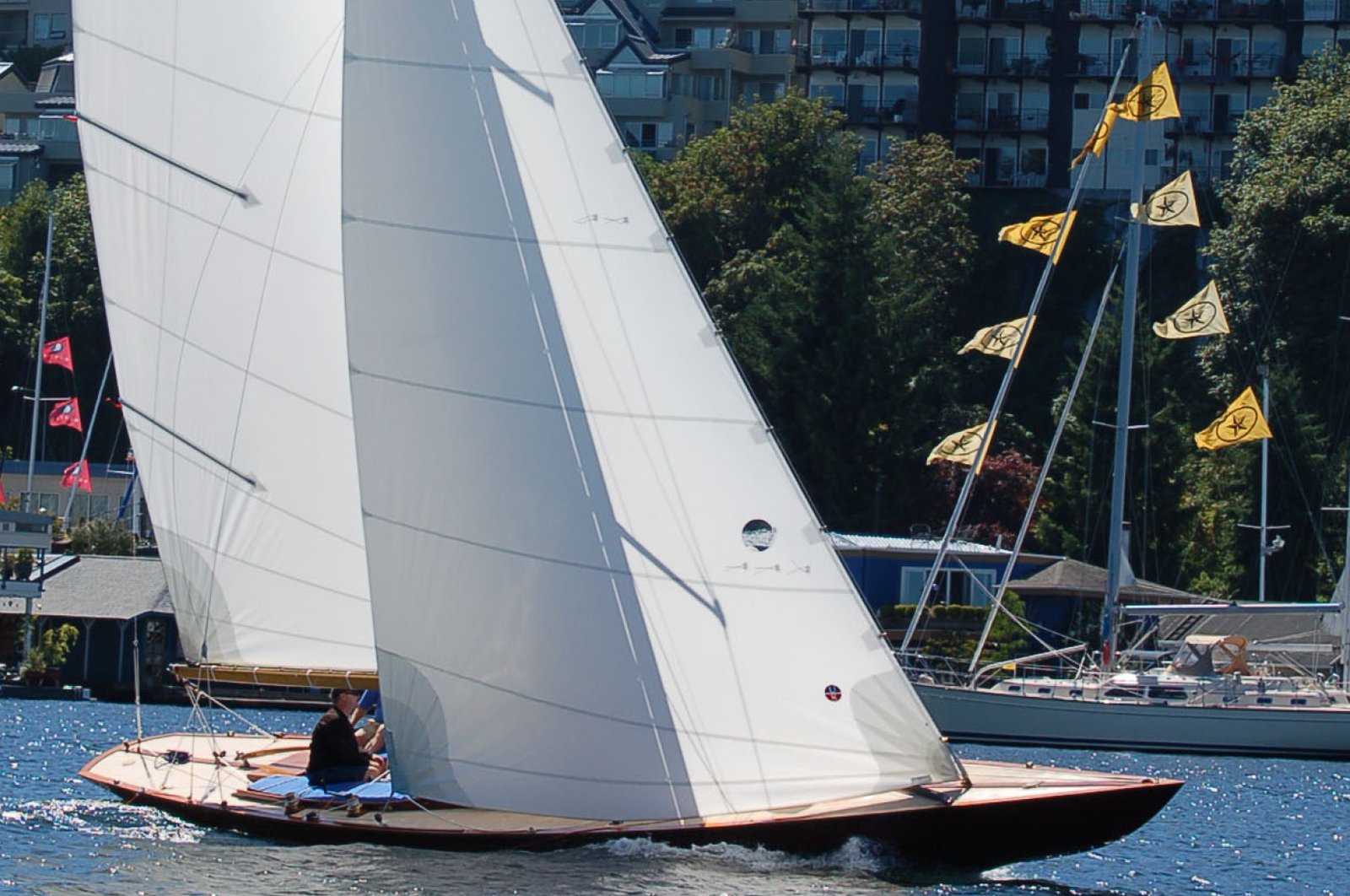 Endurance sail custom specification